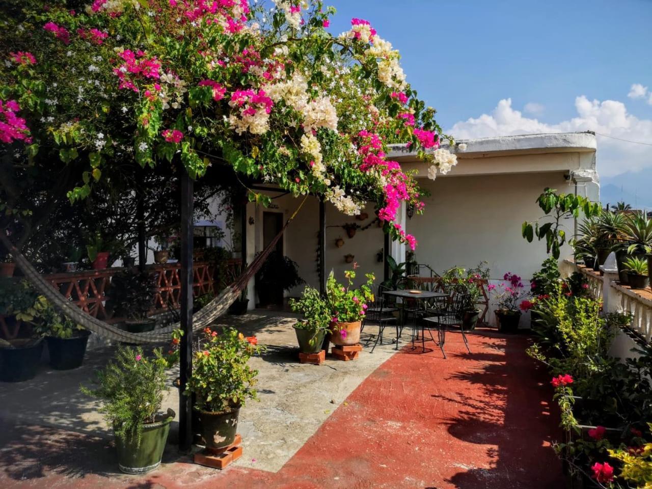 El Diablo Y La Sandia B&B Oaxaca Extérieur photo